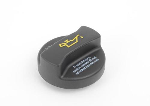 Dummy plug