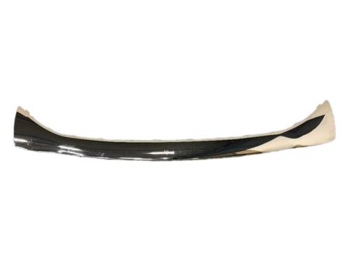 Bumper trim strip lower center