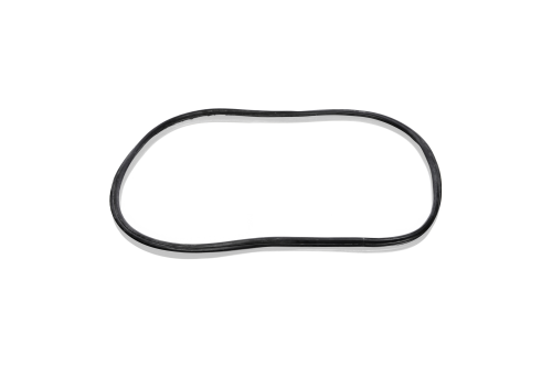 Windshield Seal
