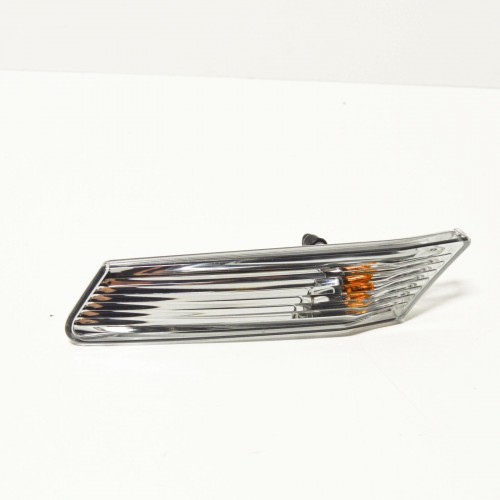 Direction indicator light